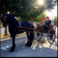 Carrozza, calesse