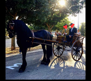 Carrozza, calesse