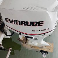 Evinrude 90 E TEC