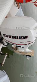 Evinrude 90 E TEC