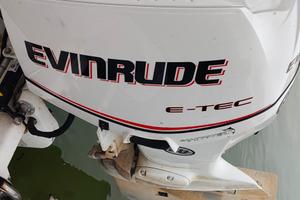 Evinrude 90 E TEC