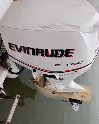Evinrude 90 E TEC
