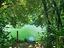 Immagine 12