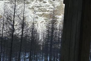 Bilocale multiproprietà