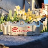 Pinza radiale Discacciati 108 cnc + spostapinza