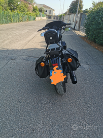 Harley-Davidson Sporsters forty eight