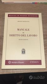 Manuale di diritto del lavoro - Oronzo Mazzotta