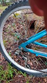 mtb .mod.nuzzi twyster 18 velocità 