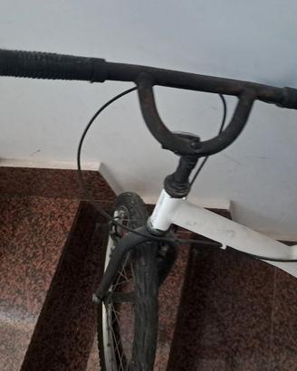 bivi bimbo 30