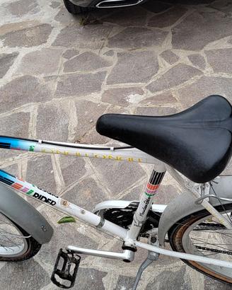 Bicicletta