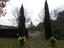 Immagine 12