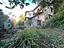 Immagine 24