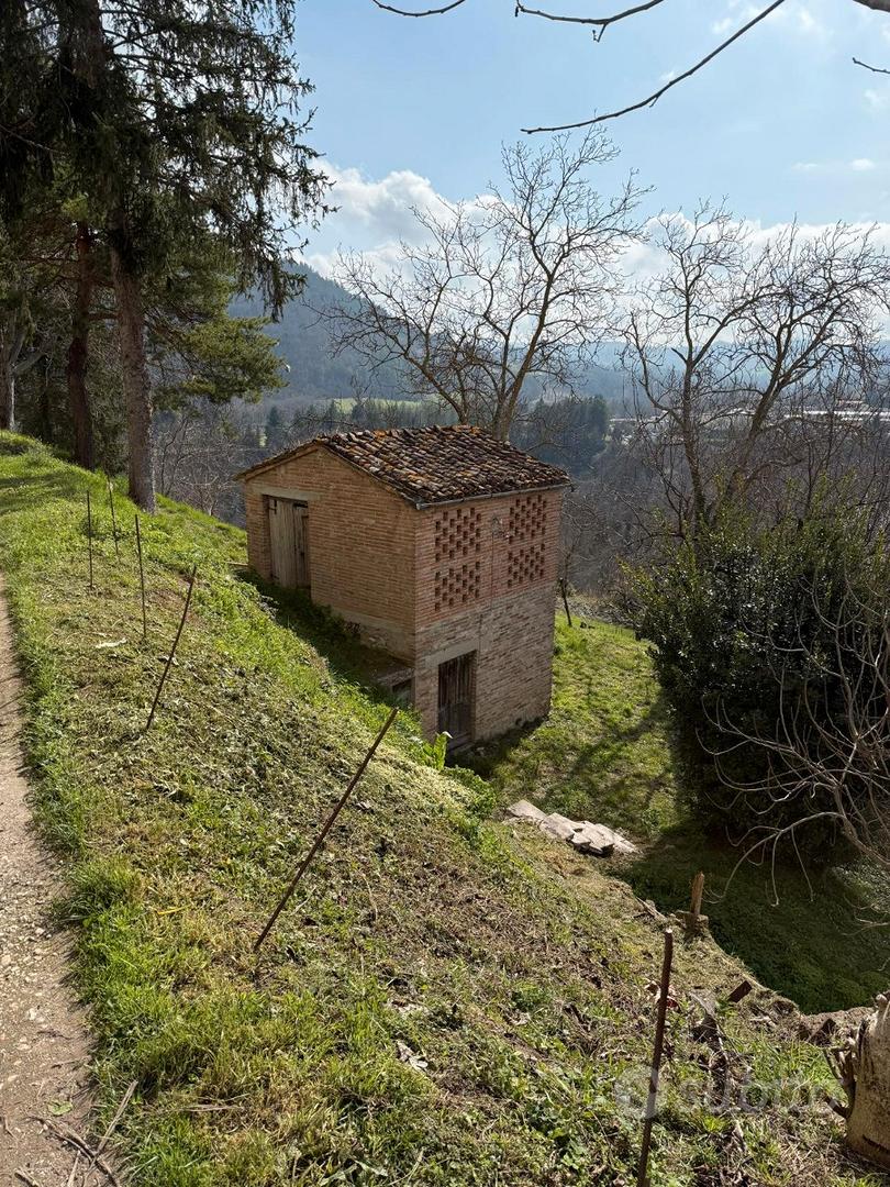 Terreno + sovrastante fabbricato da ristrutturare - Vista 5