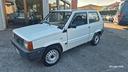 fiat-panda-900-i-e-cat-young