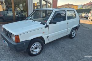 Fiat Panda 900 i.e. cat Young