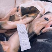 Plaid morbido con stampa cani