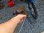 Immagine 3