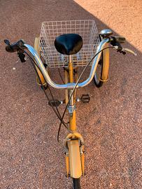 Bicicletta triciclo