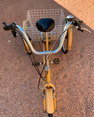 Bicicletta triciclo
