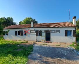 CAVARZERE: casa singola piano terra con terreno