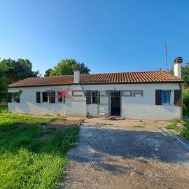 CAVARZERE: casa singola piano terra con terreno