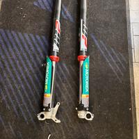 Forcelle WP 48 cartuccia chiusa con TPS POLETTI