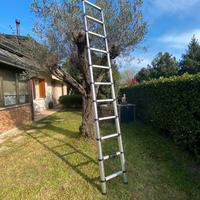 Scala telescopica in alluminio cm 290