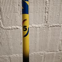 canna da pesca 5 metri 