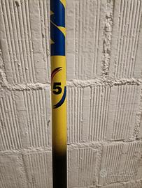 canna da pesca 5 metri 