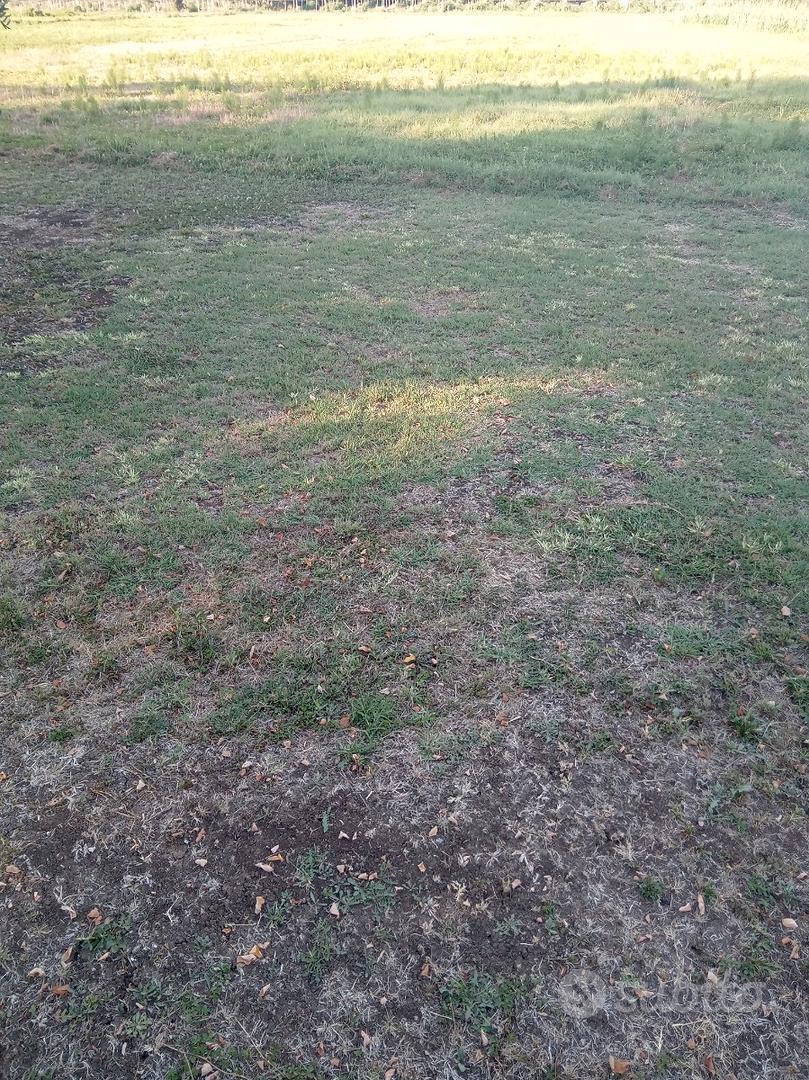 Terreno agricolo - Vista 4