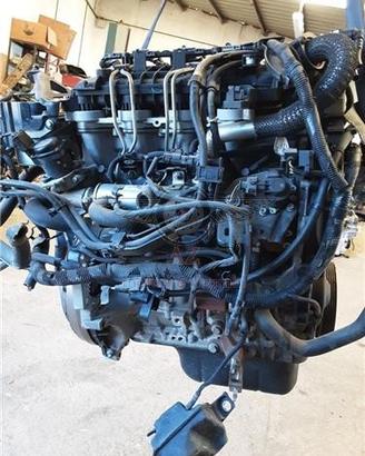 FORD FOCUS 2006 - G8DA - motore usato