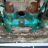 Martinetto per torchio uva