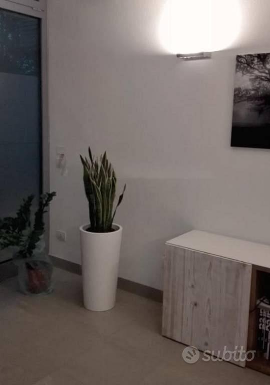 Immobile in asta di 40 m² con 1 locale a Conselve - Vista 2