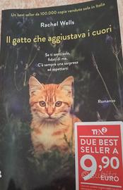 il gatto che aggiustava i cuori 