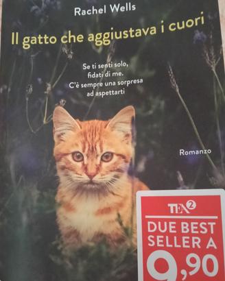 il gatto che aggiustava i cuori 