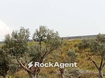 Terreno di 3600 m² a Siderno