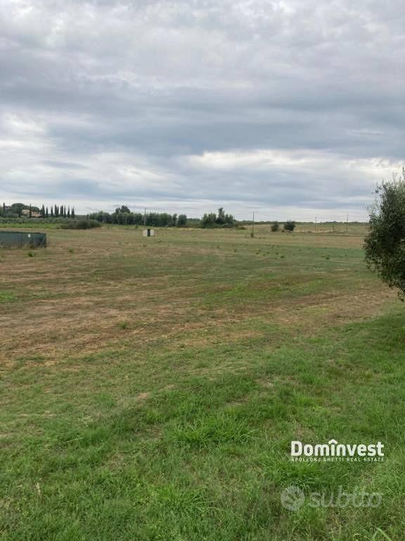 Terreno di 46000 m² a Capalbio - Altro