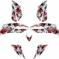 Grafiche per Yamaha Raptor 660 