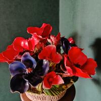 Centrotavola Porcellana