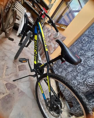 bicicletta 24 da ragazzo 
