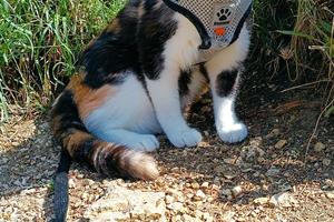 Coppia seria con lavoro stabile