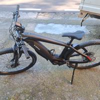 Bicicletta elettrica