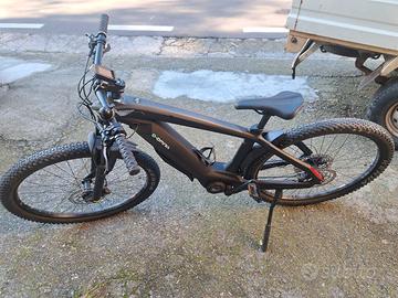 Bicicletta elettrica