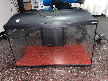 Acquario 60lt completo