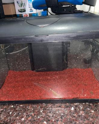 Acquario 60lt completo