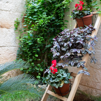 Giardiniere e manutentore