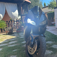 Cbr rr 600 2006