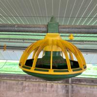 Mangiatoie Sperotto polli usate – 230 metri