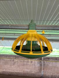 Mangiatoie Sperotto polli usate – 230 metri