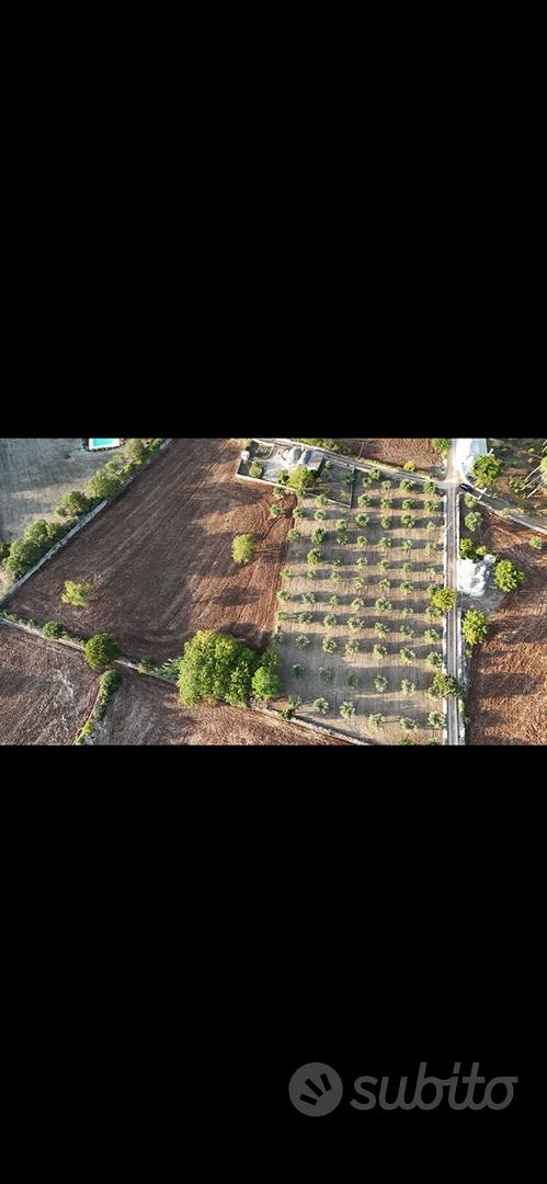 Terreno rustico - Vista 3